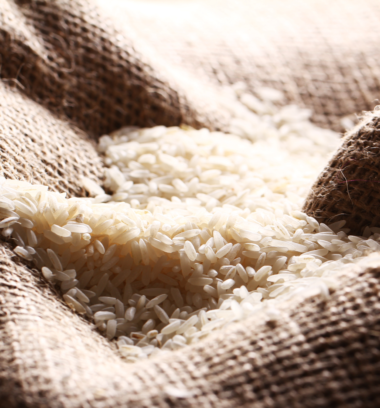 pano de saco de grãos de arroz branco