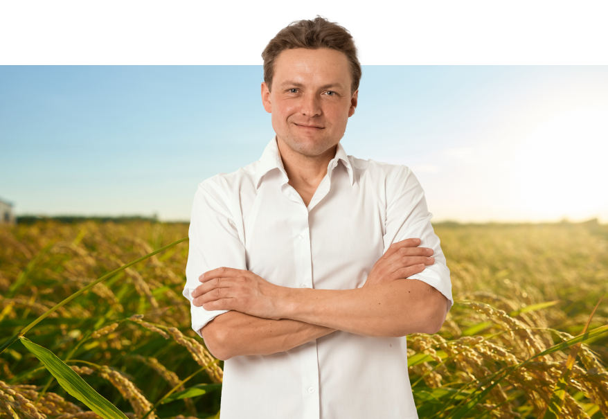homem de braços cruzados em frente a uma plantação de arroz